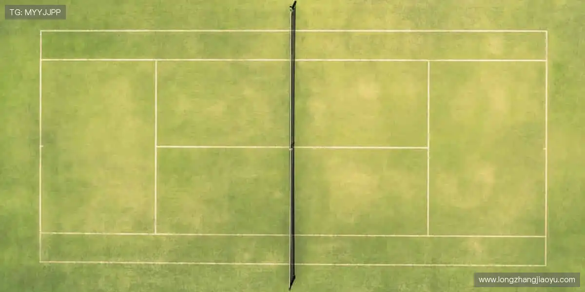 ⚽【赛事官网】汗水浇筑梦想，这里见证冠军诞生！